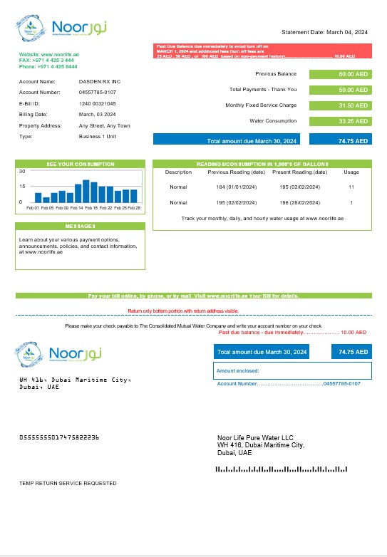 UAE Noor Life Pure Water LLC business utility bill template in Word and PDF formats